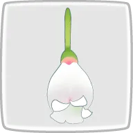 花言葉