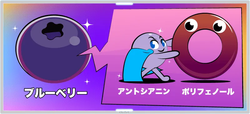 ブルーベリーにあるアントシアニンというポリフェノール効果