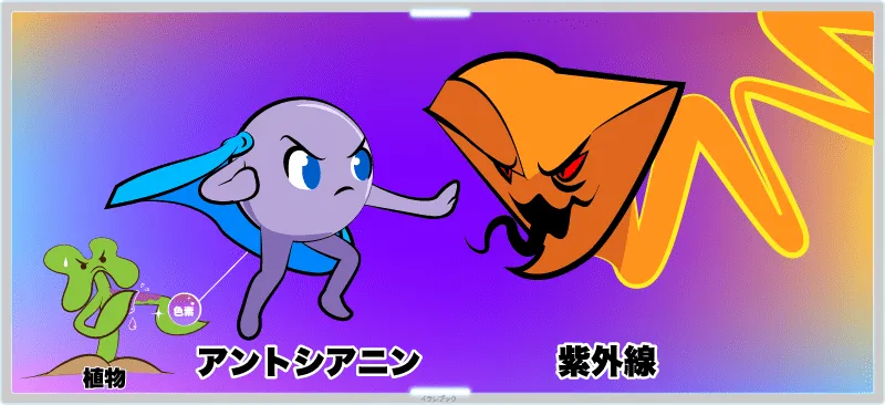 アントシアニンは植物に含まれる、赤や青色をした色素