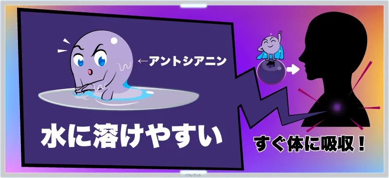 アントシアニンは水に溶けやすい