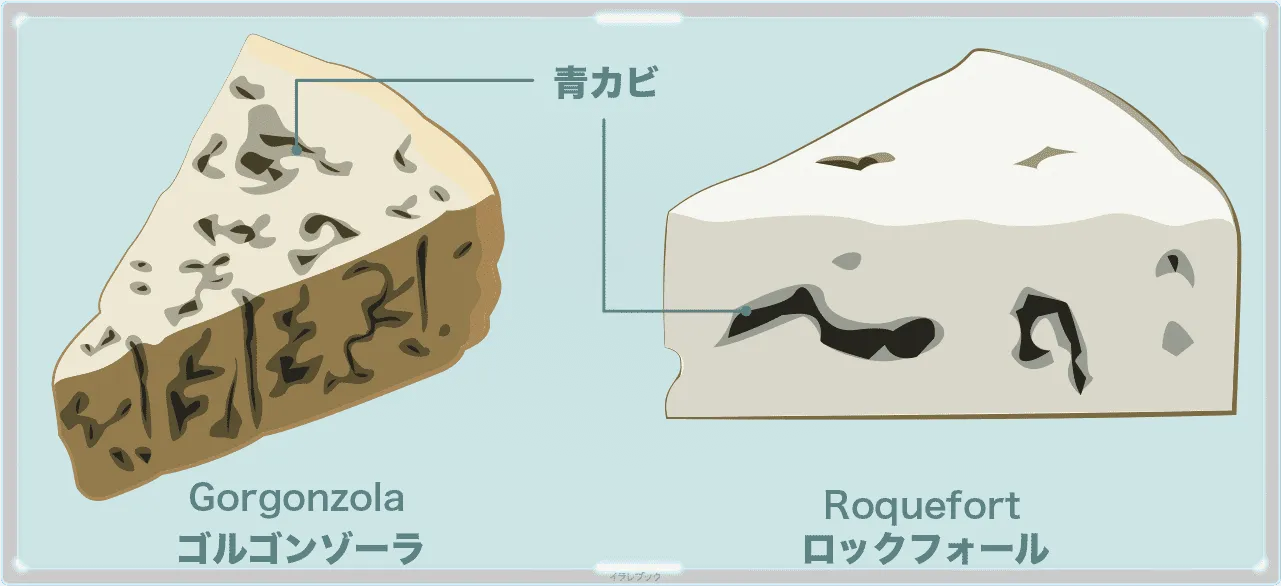 ブルーチーズとは青カビが生えたチーズの総称