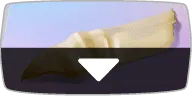 鰹節とは