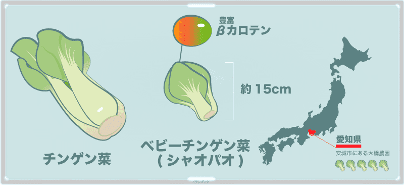 チンゲン菜の栄養が胃もたれに効く ほうれん草にもない特別な栄養とは Bokchoy