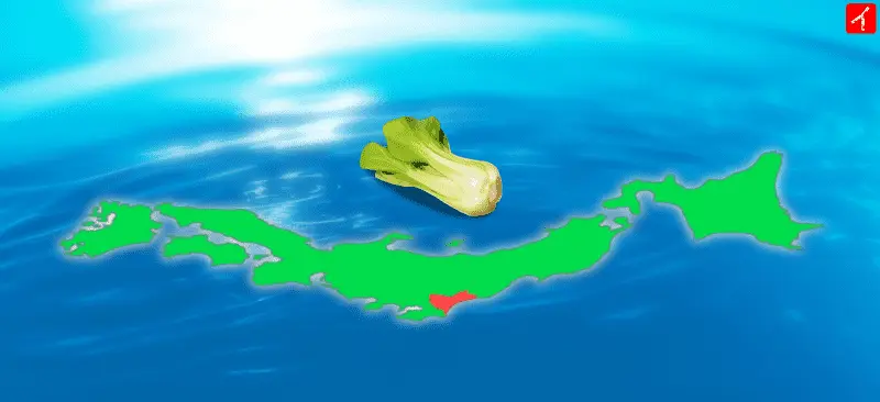 チンゲン菜の生産量が多いのは茨城県
