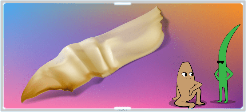 鰹節イラスト Nameko2