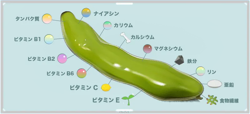 そら豆の栄養
