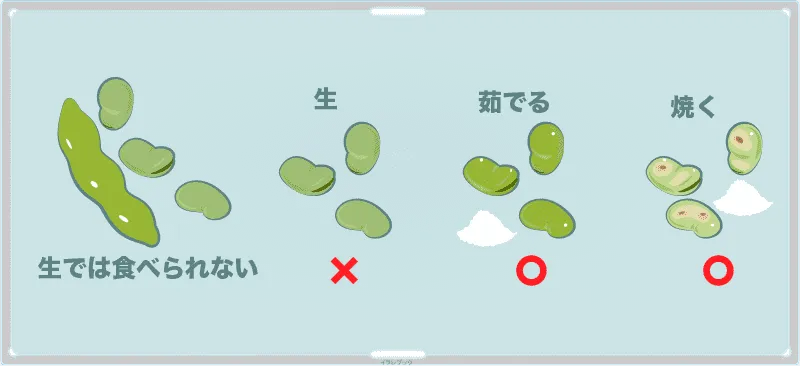 そら豆の食べ方