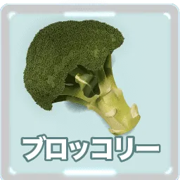 ブロッコリー