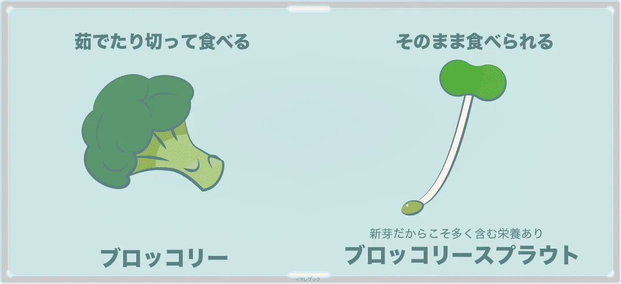 ブロッコリーとブロッコリースプラウト