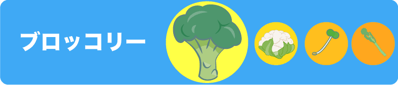 ブロッコリーイラスト broccoli