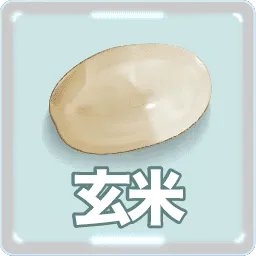 玄米