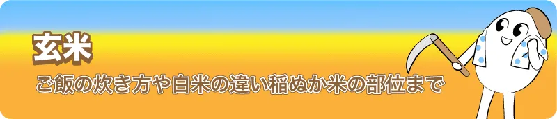 玄米 炊き方やご飯の栄養とカロリー!白米の違い稲ぬか米の部位まで