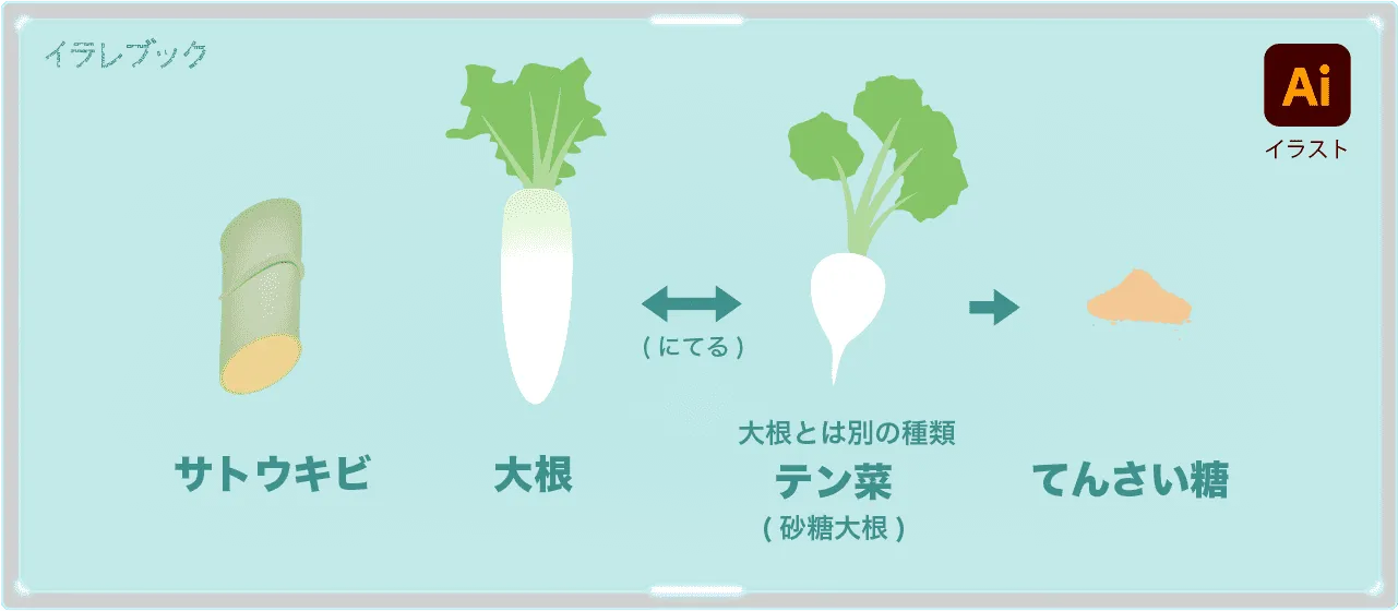 テン菜から作ったてんさい糖