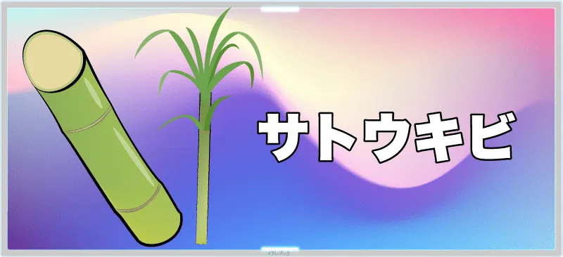 さとうきび