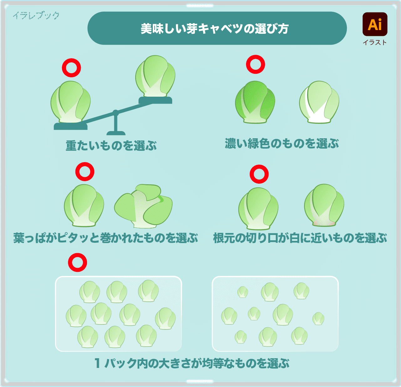 芽キャベツ 栄養 キャベツの関係 食べ方 選び方 Brusselssprout