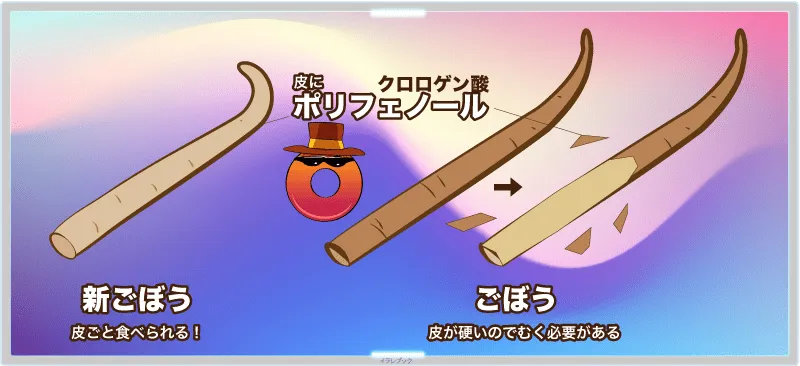 ごぼうは、皮にポリフェノールが多く含まれている