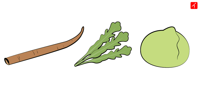 キク科の野菜