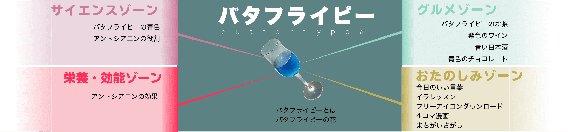 バタフライピー 効果効能と味は アントシアニンと青いティー 種も Butterflypea