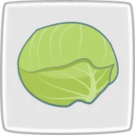 キャベツ