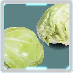 キャベツ キャベツだけの栄養 ケールに関する詳細 歴史 選び方 格言 Cabbage