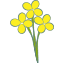 キャベツの花の絵文字