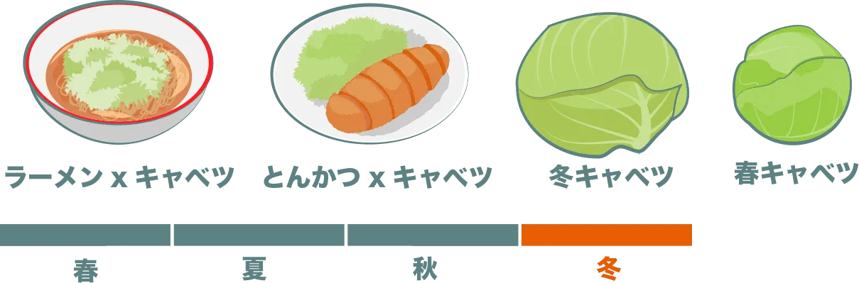 ラーメンキャベツ、とんかつとキャベツ、冬キャベツ、春キャベツ