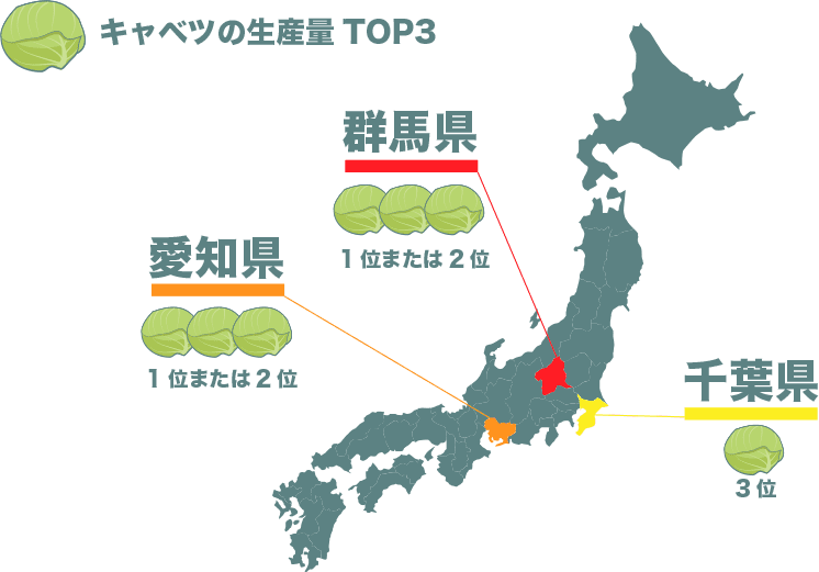 キャベツの生産量TOP3は群馬県、愛知県、千葉県