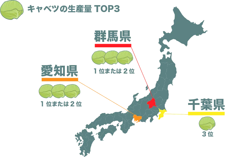キャベツの生産量TOP3は群馬県、愛知県、千葉県