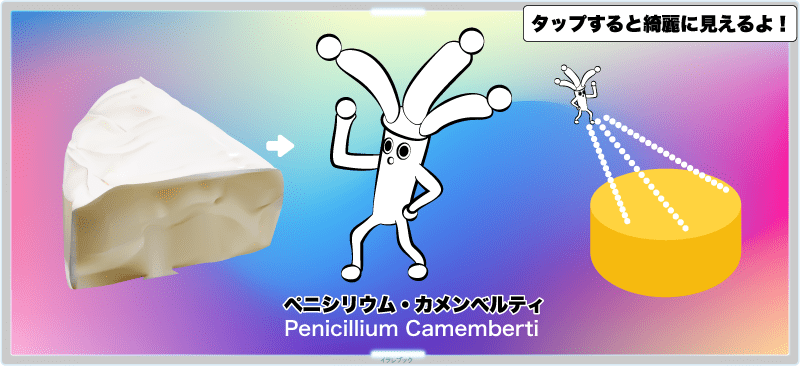 ペニシリウム・カメンベルティ（Penicillium Camemberti）という名前のカビ