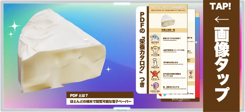 白いカビに覆われた食べ物、カマンベールチーズ