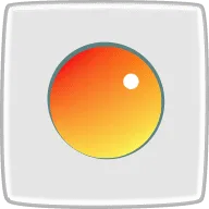 カロテノイドとβカロテンの違い