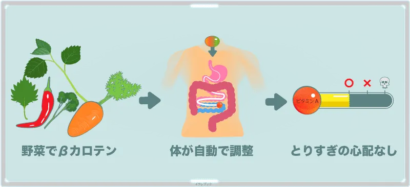 野菜でβカロテンを摂る場合は、いくら食べても過剰摂取の心配は要らない
