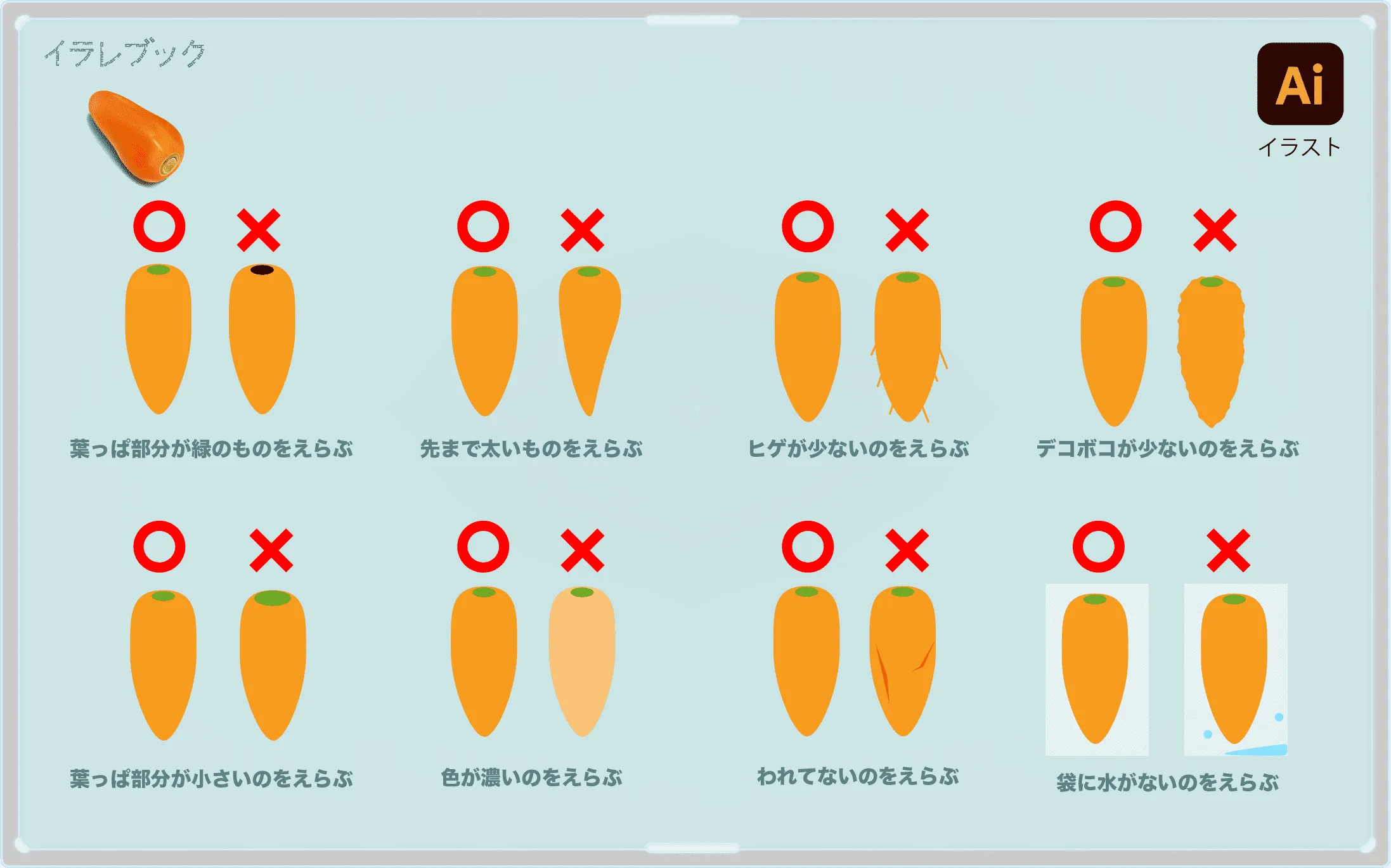 にんじんの美味しい見分け方の図解
