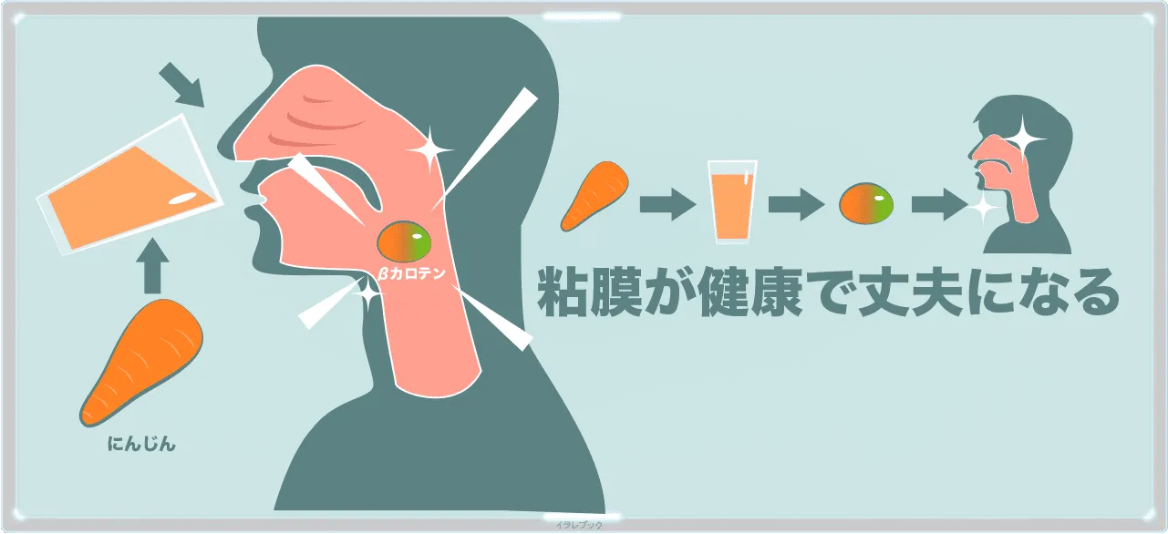 βカロテンが喉などの粘膜を丈夫にする