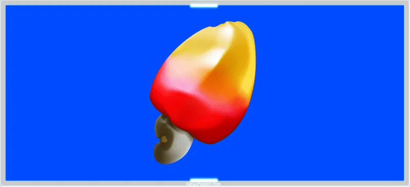 カシューアップル。秘められた果実