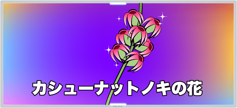 カシューナットノキの花