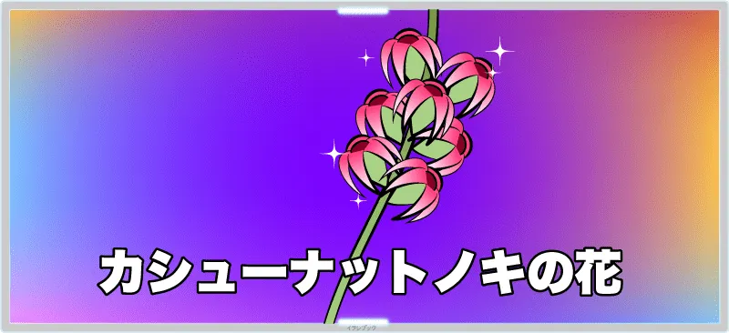 カシューナットノキの花