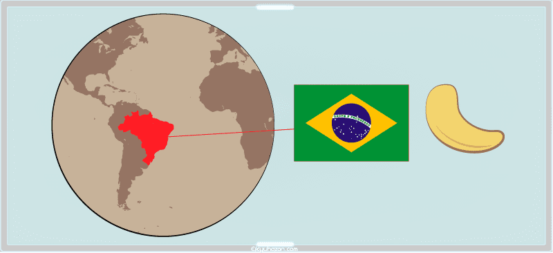 カシュ―ナッツの原産国はブラジル
