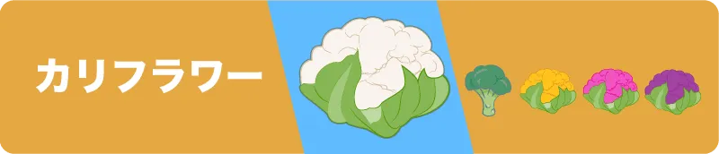 カリフラワー