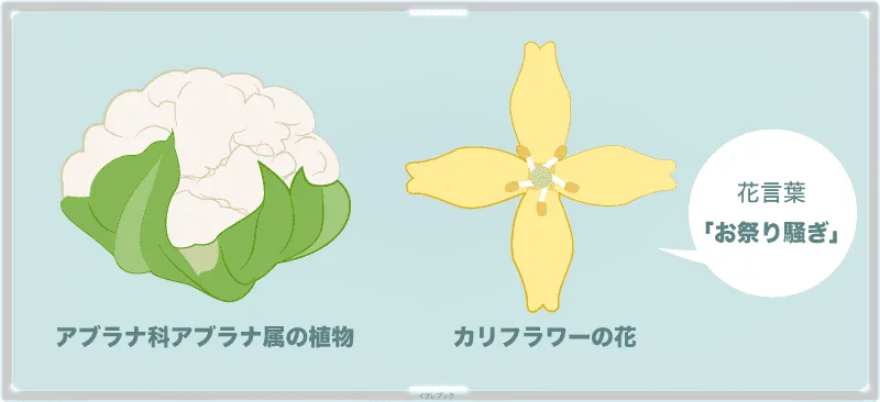 カリフラワーの花
