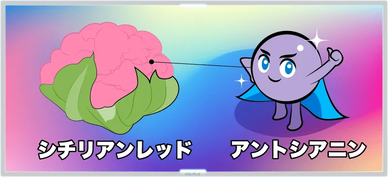 シチリアンレッドはアントシアニンがあり、これも目に良い