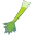セロリ