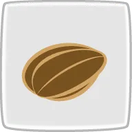 セロリシード