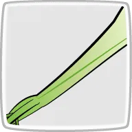 茎の長さ