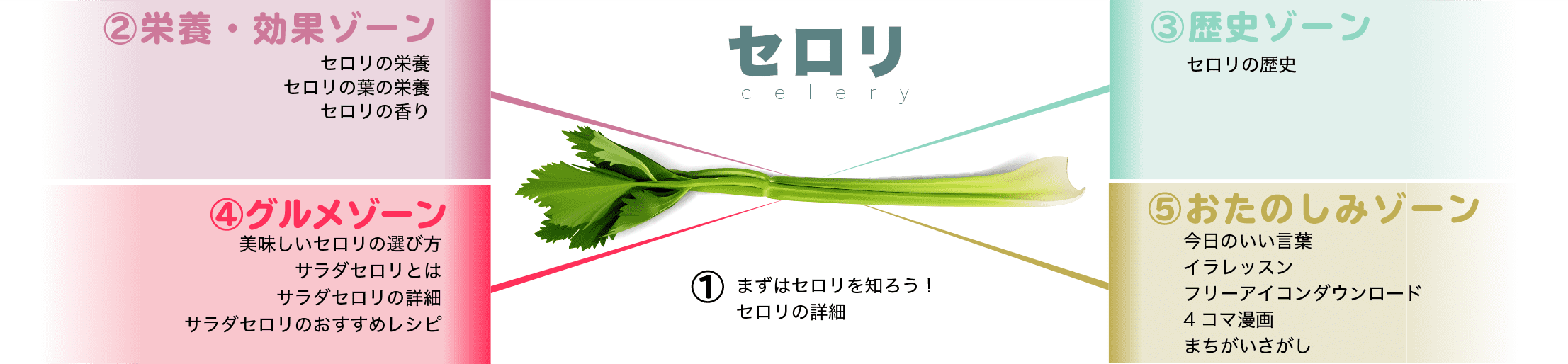 セロリ サラダセロリ食べやすいレシピ 葉っぱと茎の栄養の違い Celery