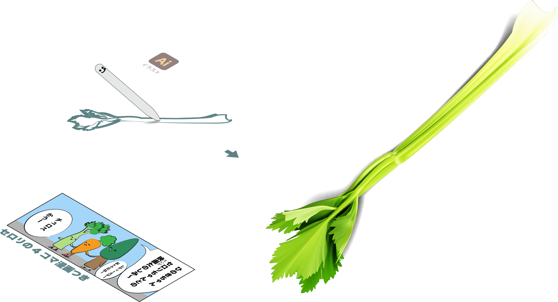 セロリは葉っぱと茎で栄養が違う サラダセロリって何 栄養は Celery