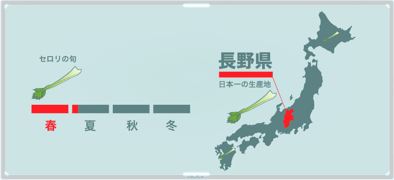 セロリの旬は春の初めから。長野県が日本の生産量No.1