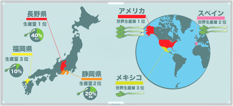 サラダセロリって何 栄養は セロリは葉っぱと茎で栄養が違う Celery