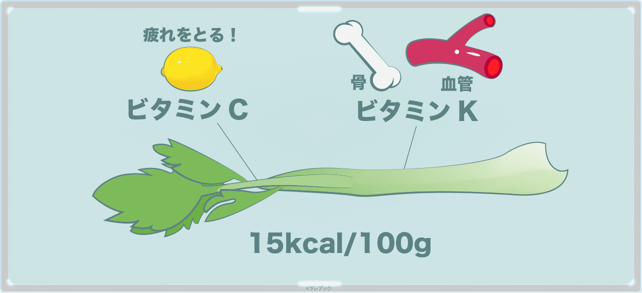 サラダセロリって何 栄養は セロリは葉っぱと茎で栄養が違う Celery