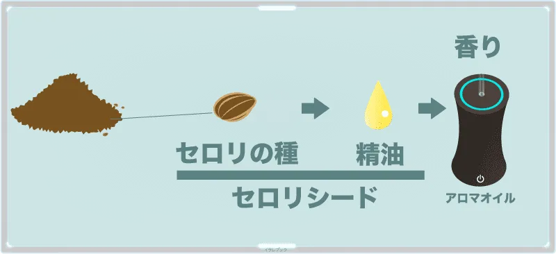 セロリシードはセロリの種で、アロマオイル用の精油のことをそう呼んでいる